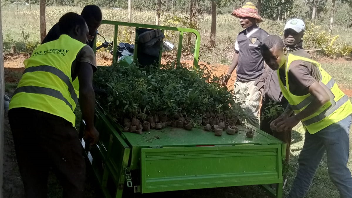 Planting Trees